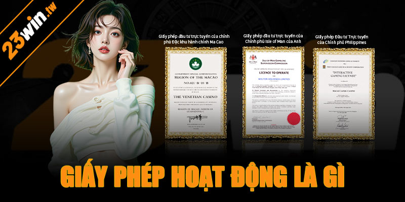 Giấy phép hoạt động là gì?